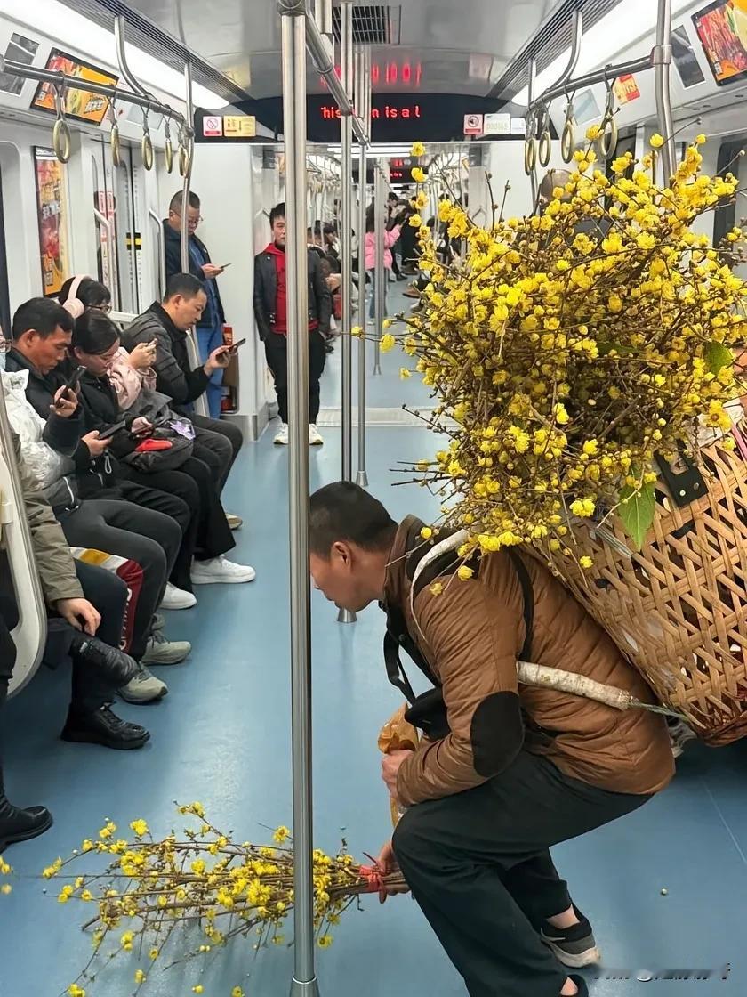 他摘这么多花干嘛？不过这花是真的香！也不知道这是什么花？小小的，黄黄的，不但漂亮