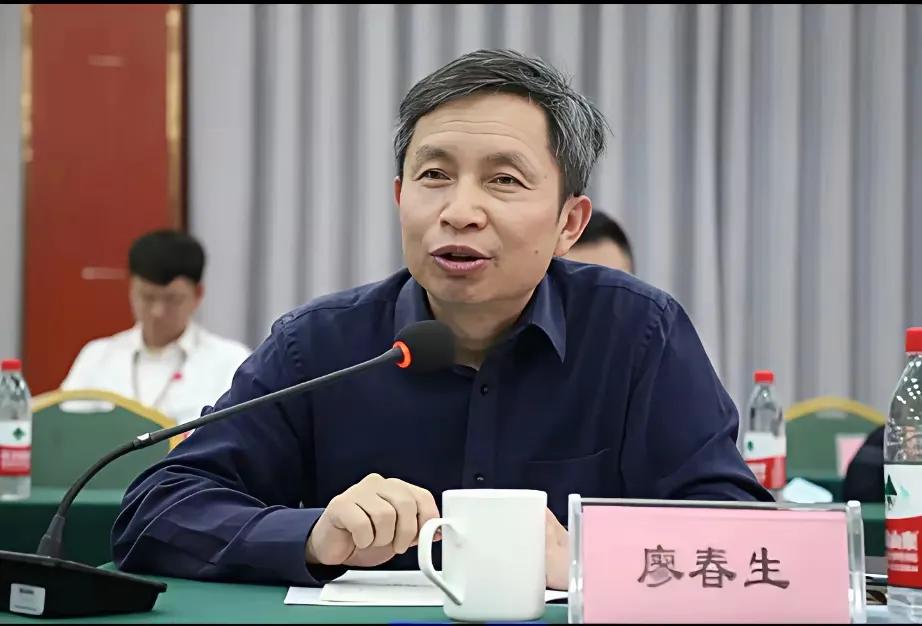 中国稀土高层密集辞职，背后到底意味着什么？中国稀土高管的离职潮背后，是一场