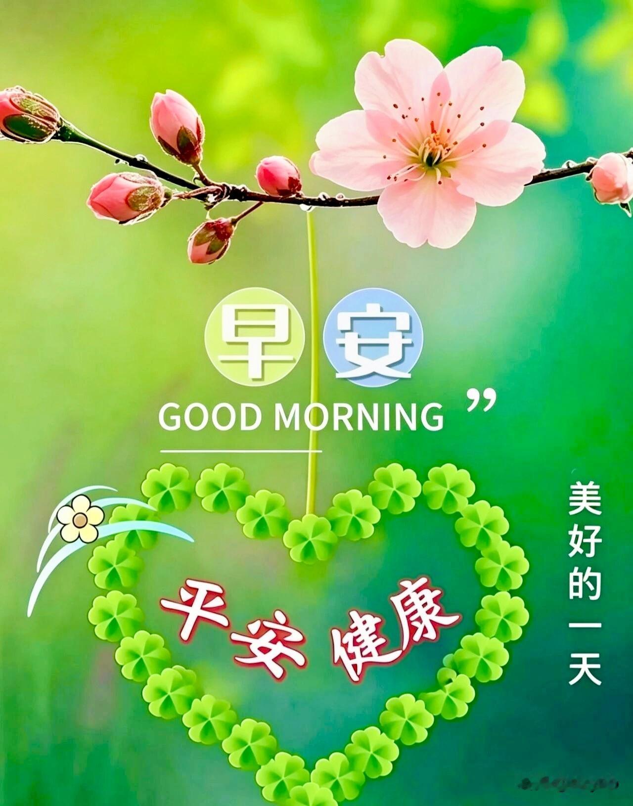 感恩遇见，珍惜缘分；友情珍贵，情谊无价。每天清晨，道声早安；送上祝福，温暖