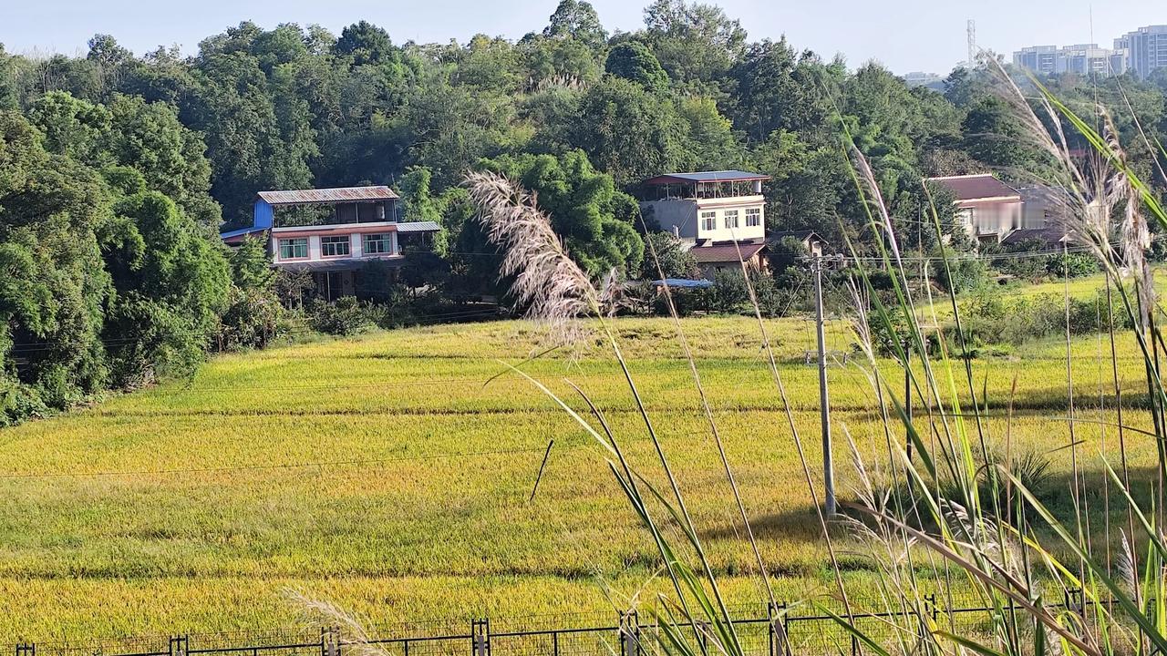 一张图记录深秋秋日乡村风景欣赏！自然风景图片分享