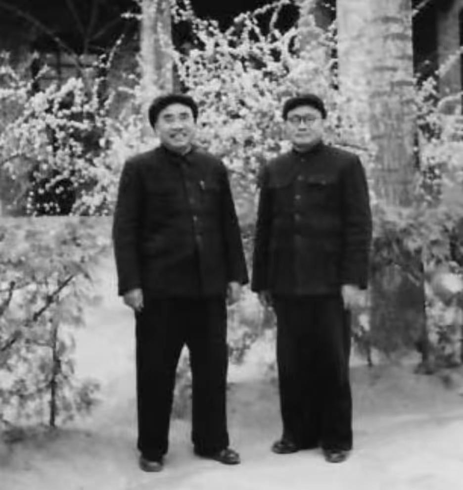 1954年的一天晚上，向来滴酒不沾的刘帅喝得酩酊大醉，警卫员“批评”：“首长，您