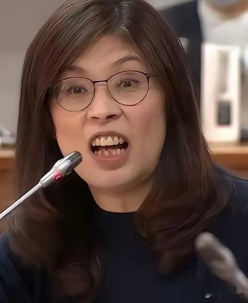 据岛内消息，郑丽文访美可能去不成了，因为郑丽文赴美，不是为了和平，是为权力。不是