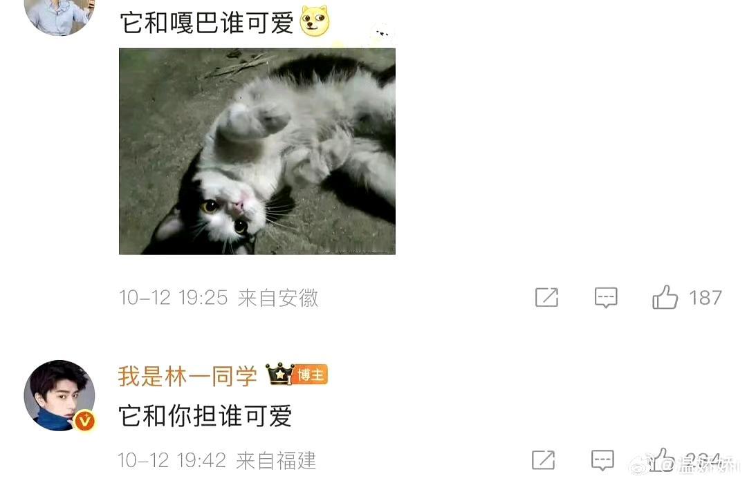 林一给虞书欣倒油了合作过的没有几个人不烦她的。资本家丑孩子唯利是图，唯我独尊