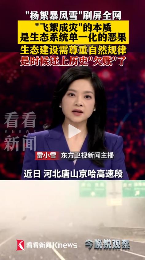 又一次！漫天白毛铺天盖地。北方不少城市同步陷入飞絮围城，家家户户紧闭门窗，出门必