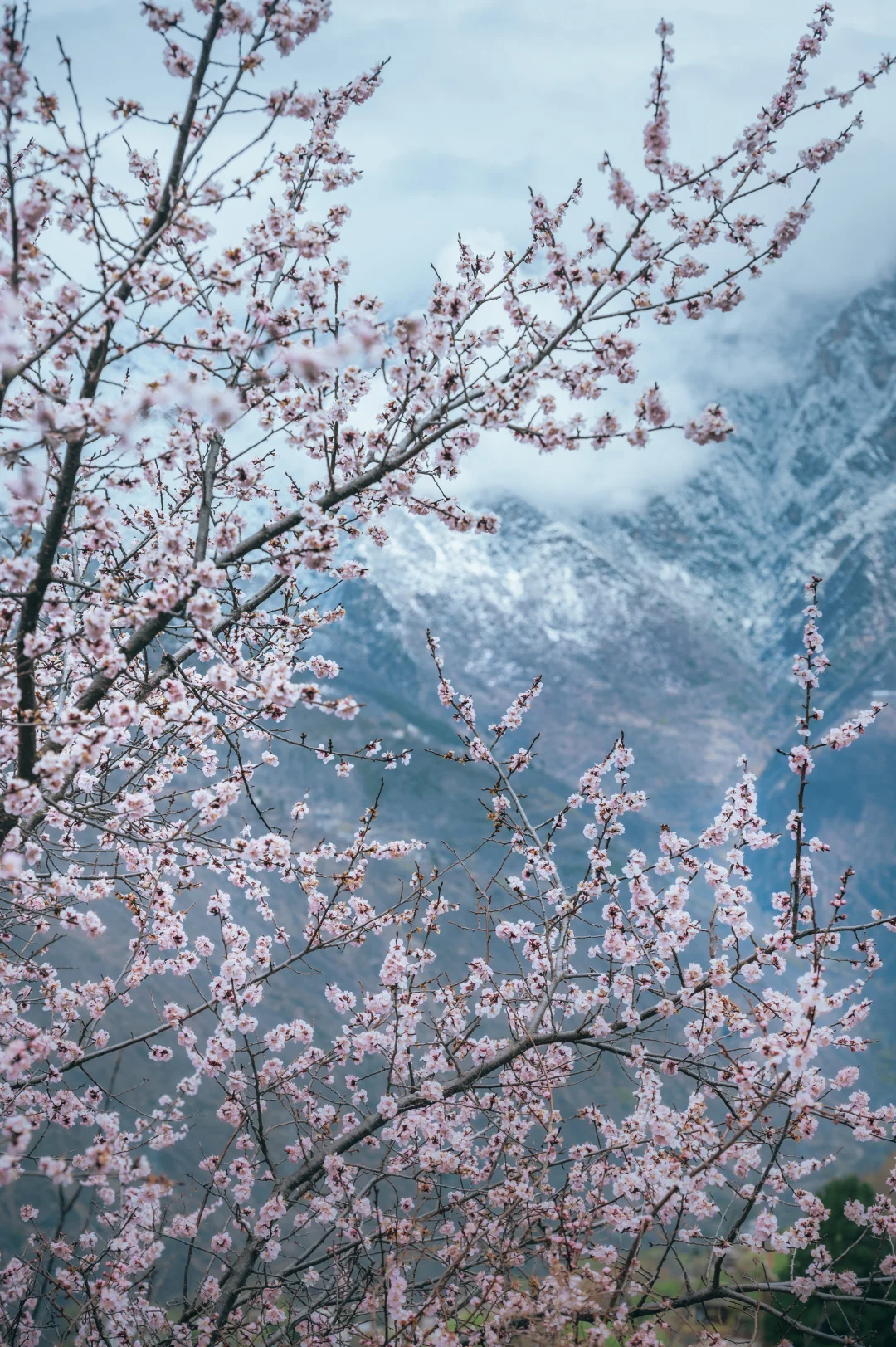 三月去川西，分享两个路线