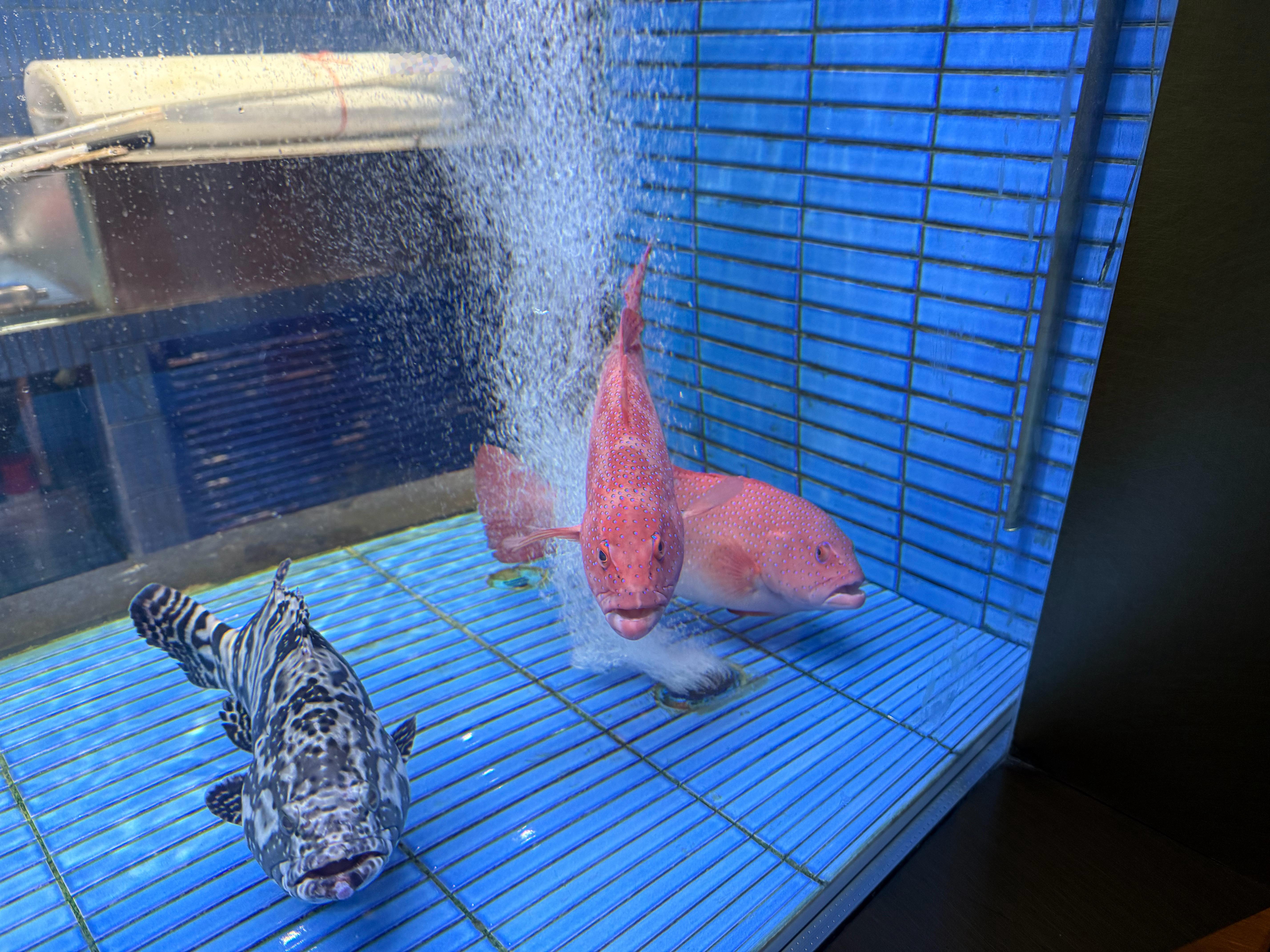 最近我一直在说努力有没有用的问题其实努力肯定是有用的但是有多大作用什么时候才