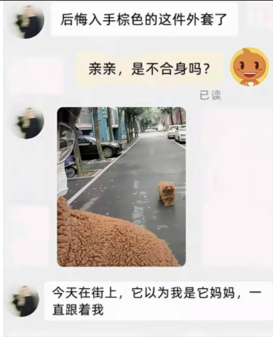 它以为我是它妈妈，一直跟着我