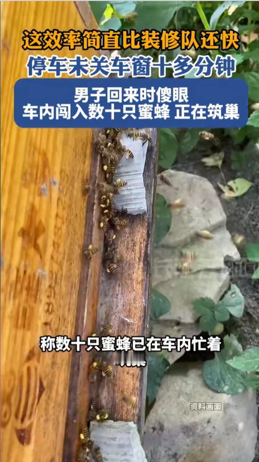 “笑不活了！”近日，浙江杭州，一男子向消防员报警求助。自己下车时忘关车窗，就十分