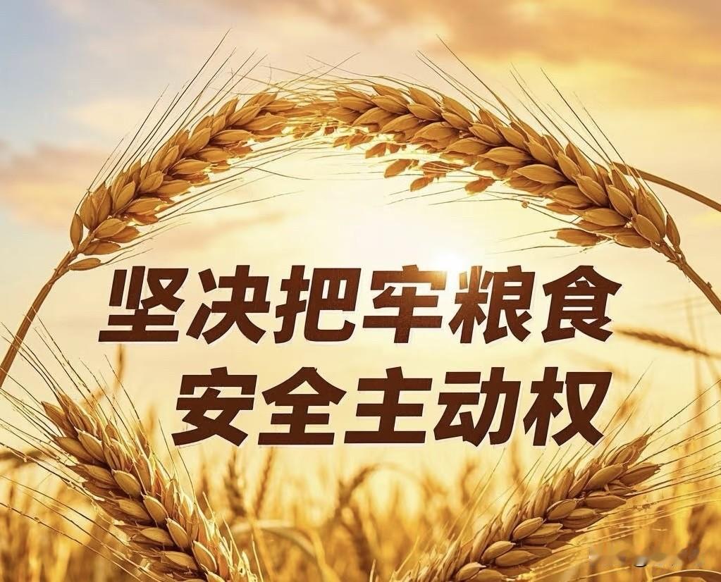 2025❗️一场无声的粮食战争已经打响‼️粮食安全比科技打压更可怕！不知道大
