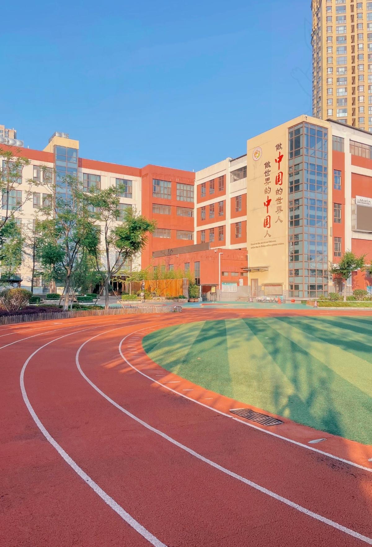 12月17号教育部考试新规一出，家长群直接炸成了菜市场！这波改革是真下狠手，中小