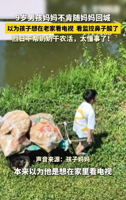 都是别人家的孩子！ 湖北武汉，一位妈妈带9岁儿子回乡看奶奶，返程时孩子怎么也