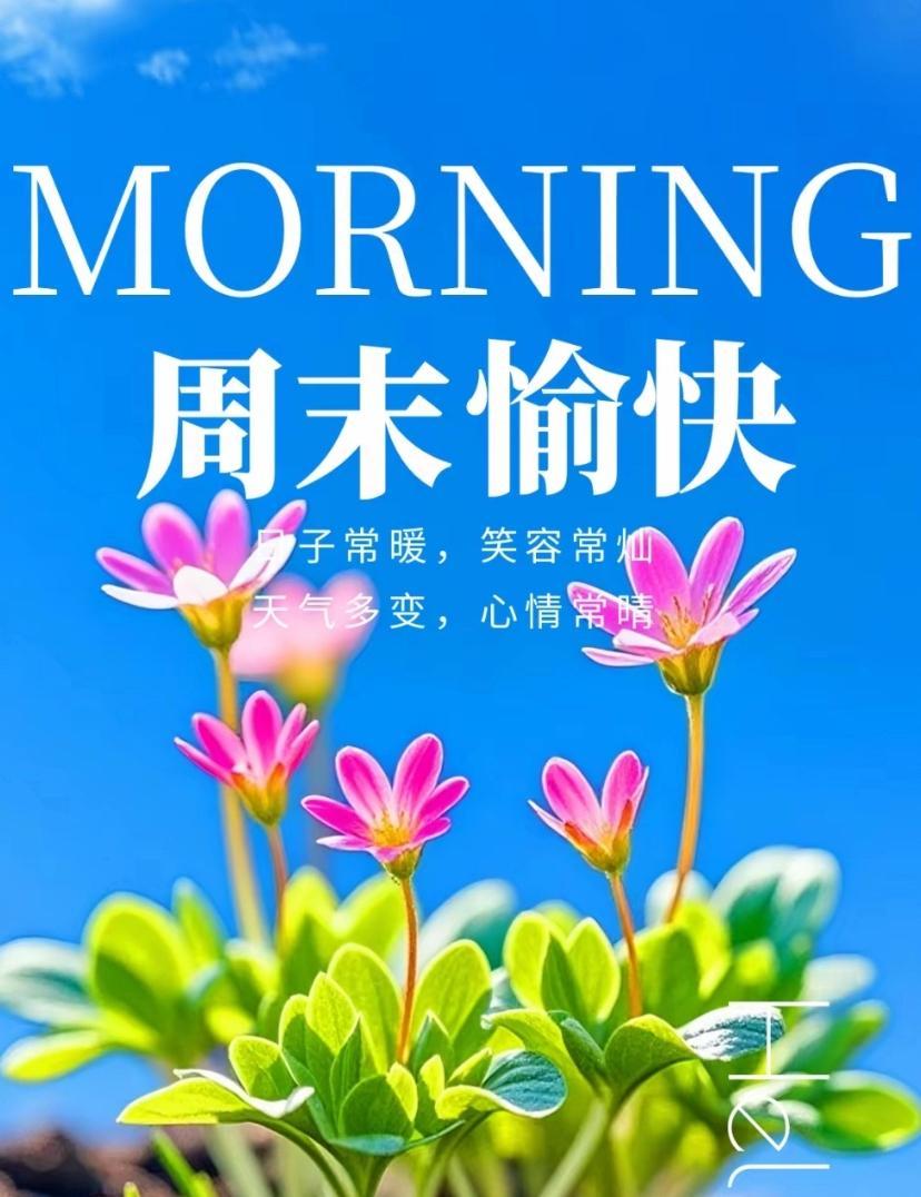 🌺☘️2026./4.25.周末早安心语🌺☘️🌻时光如梭，转眼迎来四