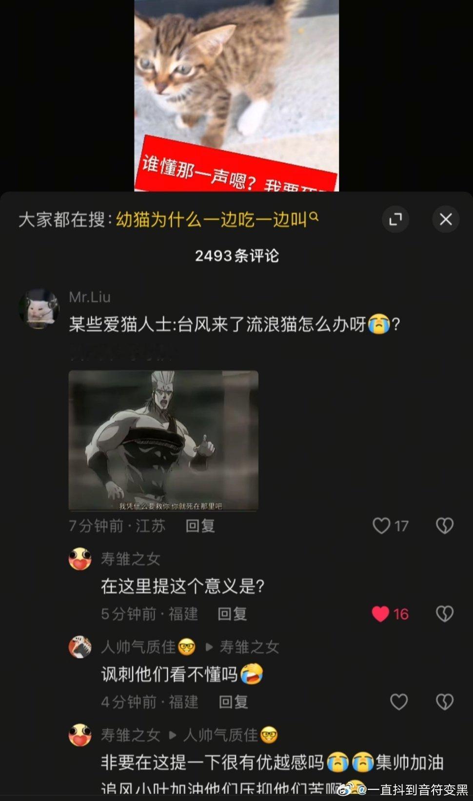？原视频就发了个流浪猫吃香肠别的啥也没说评论区也都是在说小猫很可爱