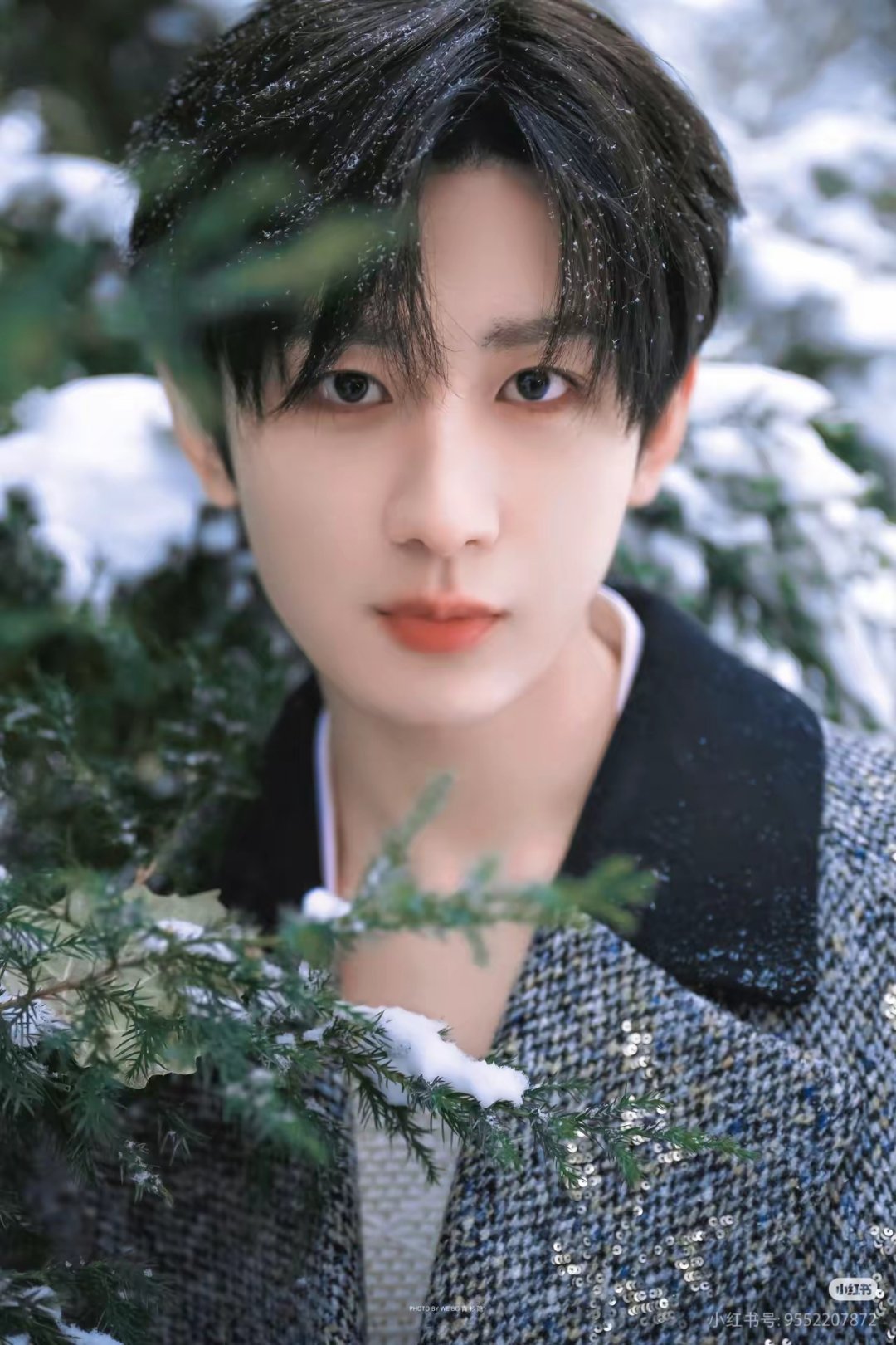 终于能理解成毅为什么不结婚不是因为没人馋他的身子而是他不论是90年还是89年出生