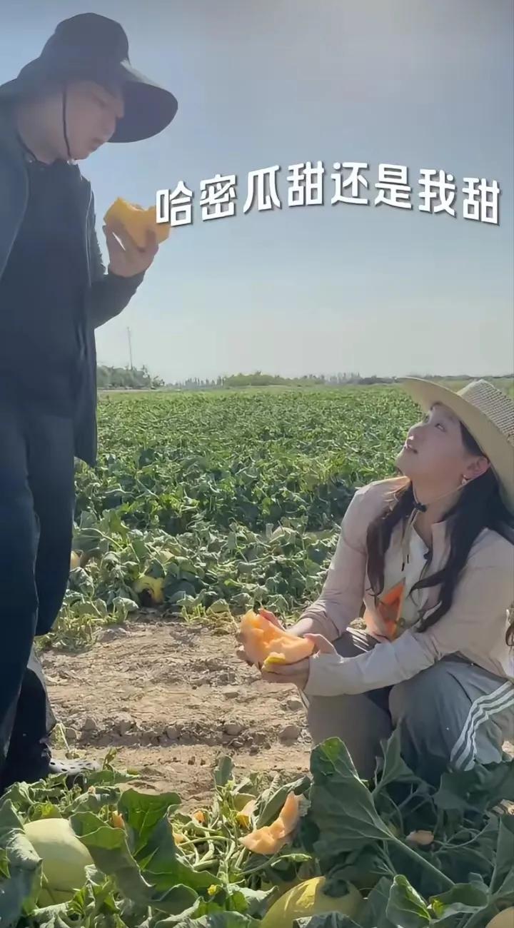 说起来，张家齐还真奔新疆找全进华去了，这行动力，真叫人佩服。瓜地里太阳晒得正旺，