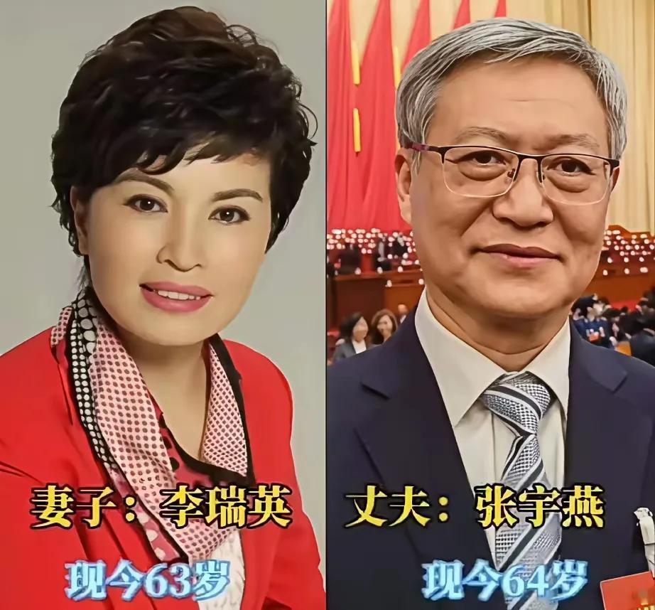 盘点九对央视主持夫妻，颜值与气场双双拉满，台前从容专业，幕后温情默契，优秀同行的