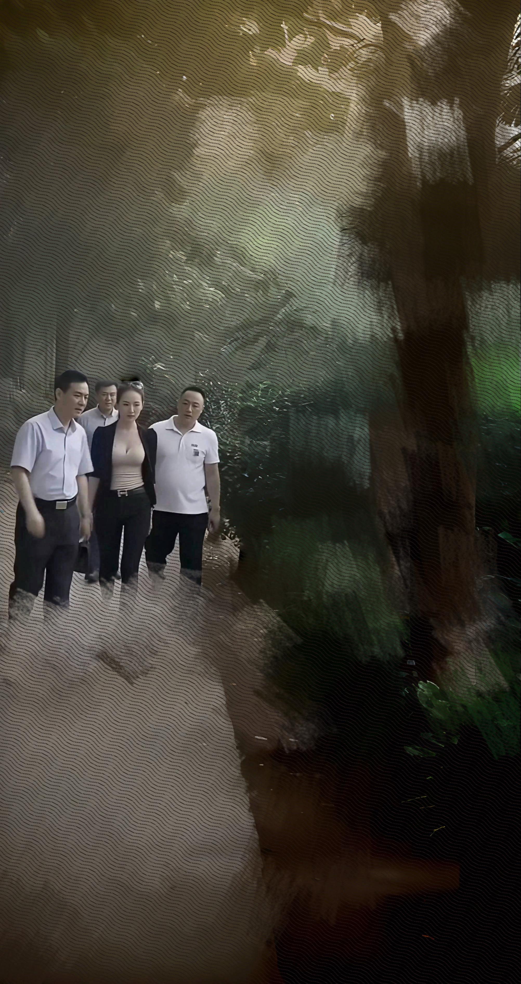 领导突然来视察工作 好紧张