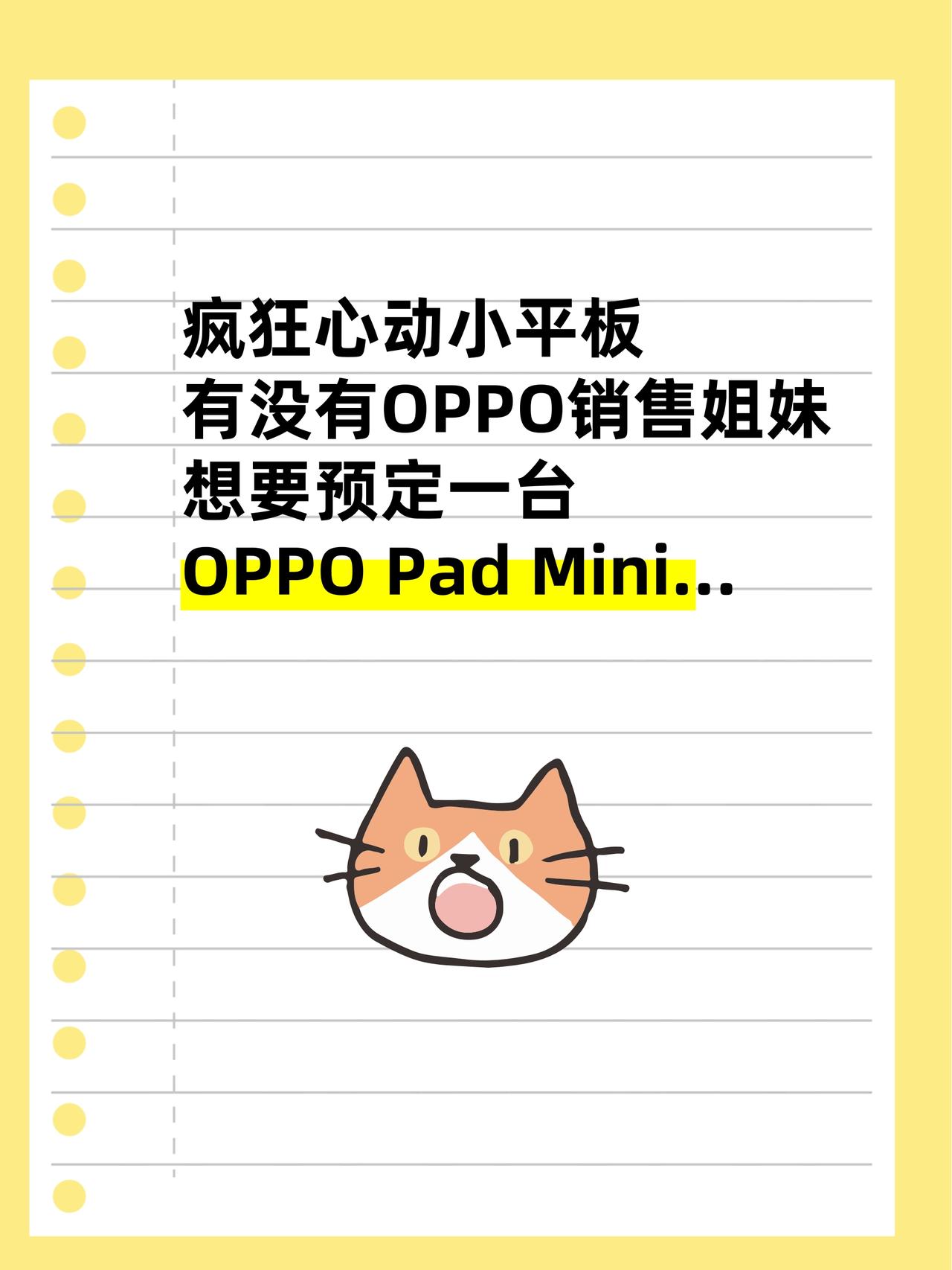 想预定OPPO小平板🙋有没有OPPO销售呀？最近特别想入一个小平板主要想用