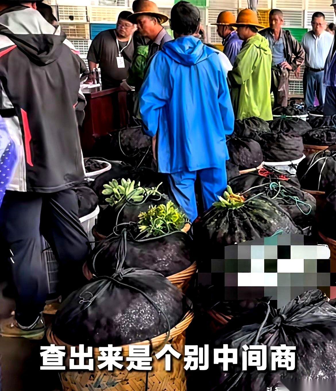 杨梅泡药水这事，果农哭着喊冤。“我们祖祖辈辈种了700年，是个别黑心中间商干的