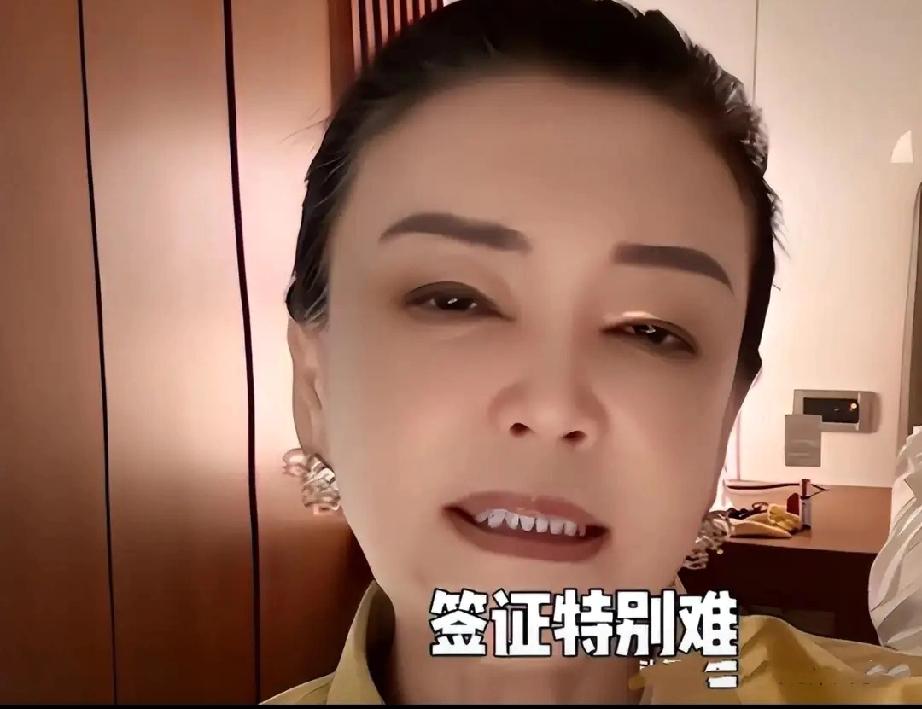 撕破脸！马筱梅执意换保姆，小杨阿姨松口，被辞照样年入30万马筱梅未出月子便