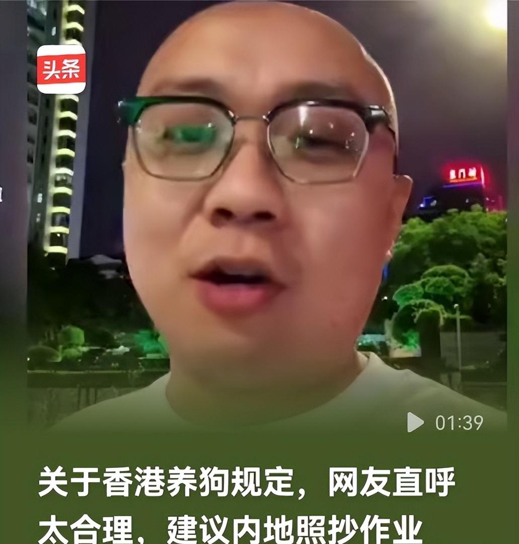 终于明白为啥全网都喊着要抄香港的养狗作业！把香港的宠物法规掰开揉碎了用大白话讲，