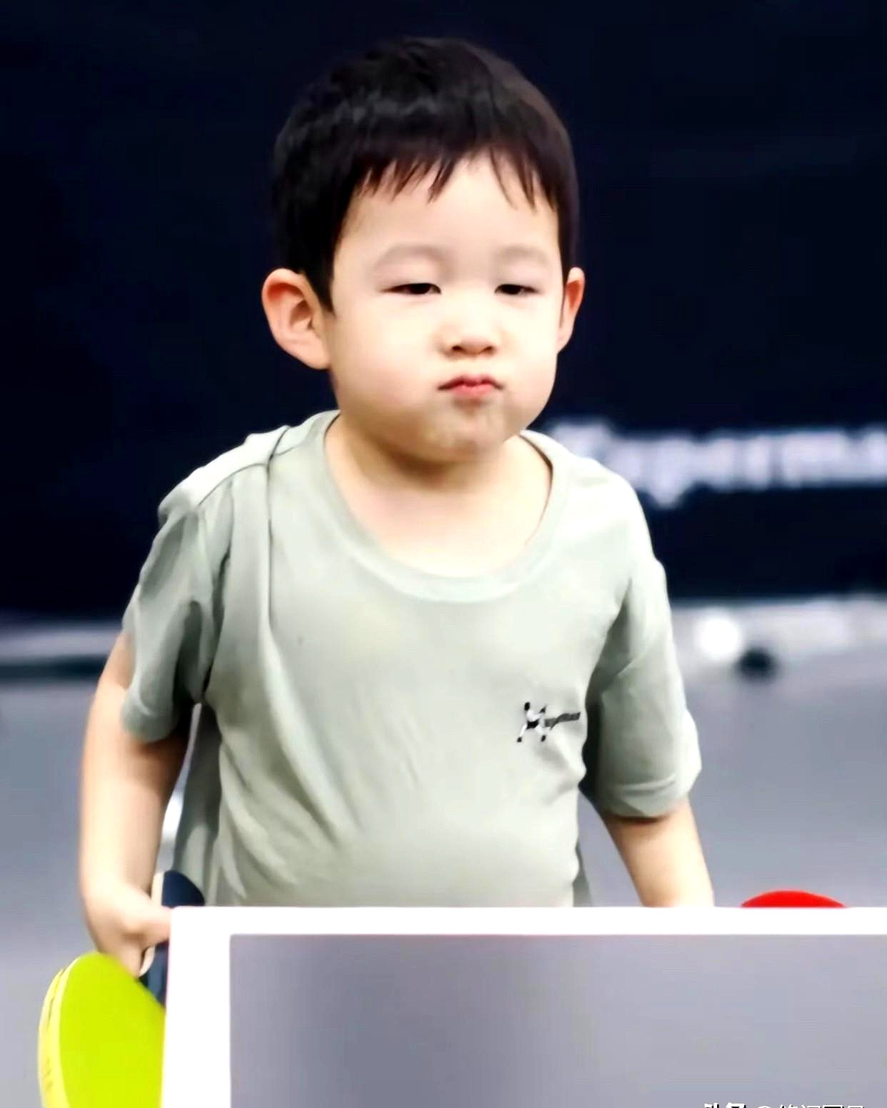 信息整合报告：许昕儿子“卡宝”为马龙加油事件及最新动态许昕儿子...