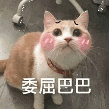 听说不吃晚饭有N个好处? 错! 好处可能只有这一个...…