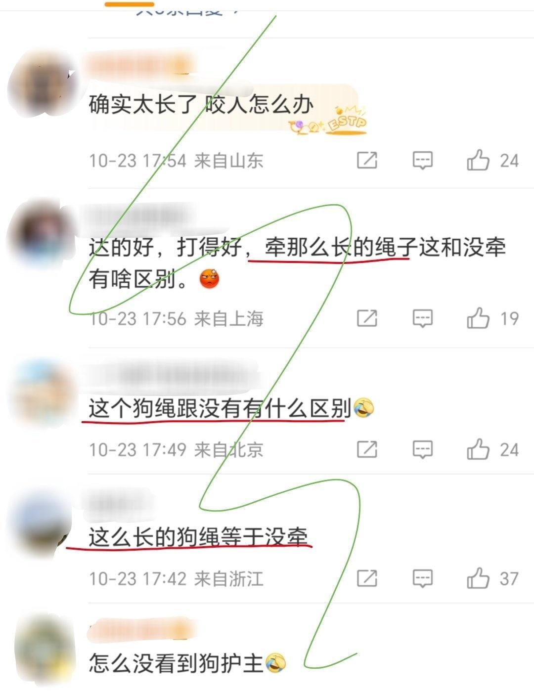 “狗绳太长等于没牵绳”?倒果为因。事实上狗一开始就在狗主边上;是对方把女子踢倒