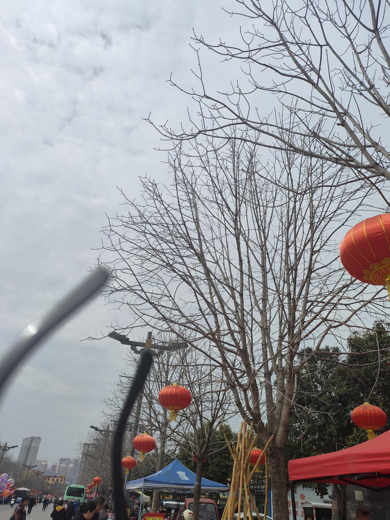 老了才明白：如果一个人独处很舒服，说明你就是个非常强大的人人这一辈子，越往