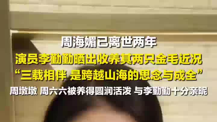 周海媚离世两周年 李勤勤晒收养的爱犬近况