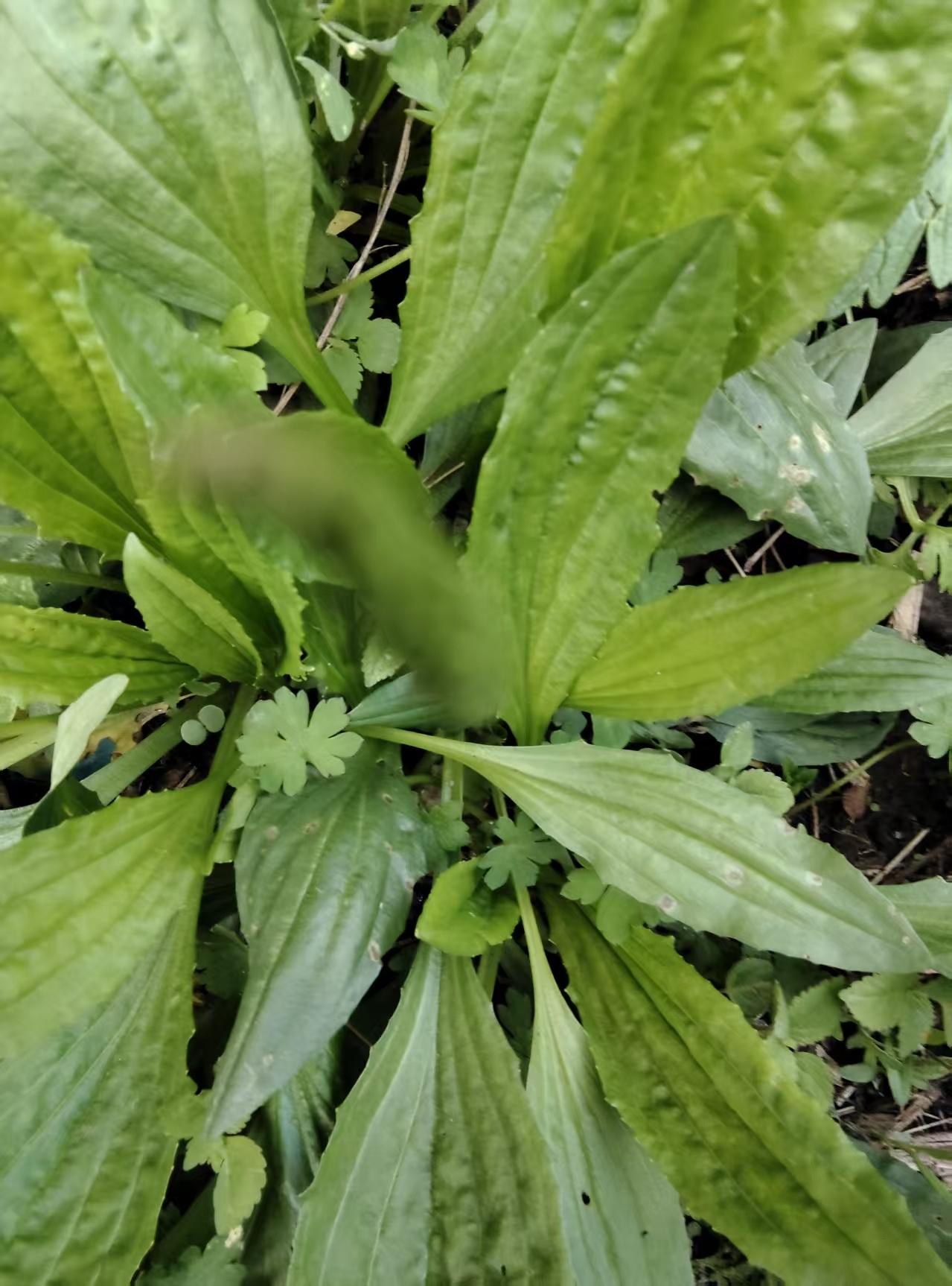 揭秘：多数人短命多病的根源！顶级养生，从来不运动、不吃补品告诉你个颠覆认知的