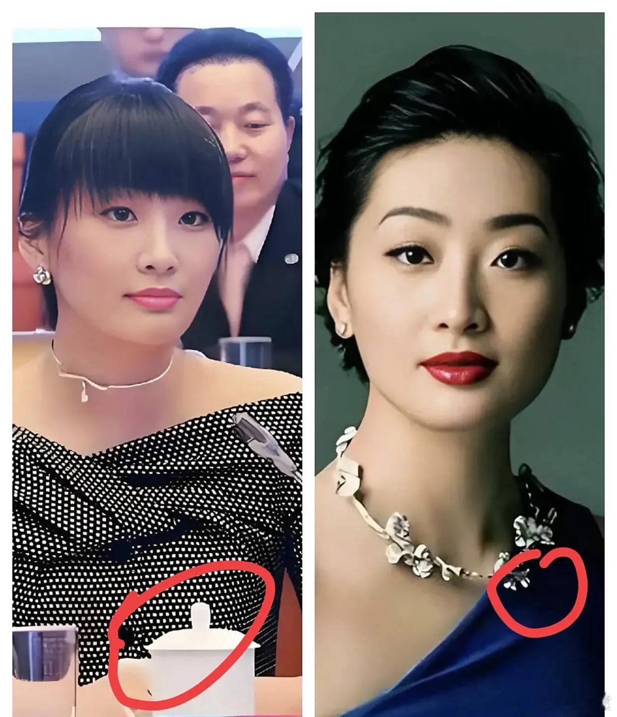 刚刚才看懂！大公主这步棋走得够绝——不婚用试管生子，看似离经叛道，实则把家族继承