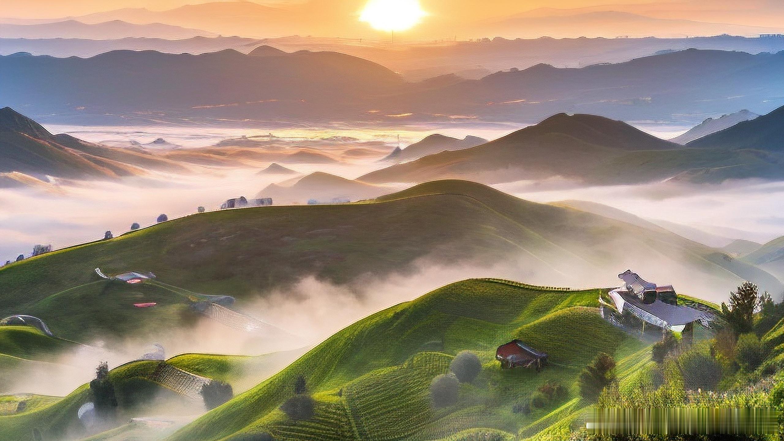 🐮🐲属牛&属龙，这对组合能行吗？🤔牛牛们性格坚定，有时候容易钻牛角尖，而龙