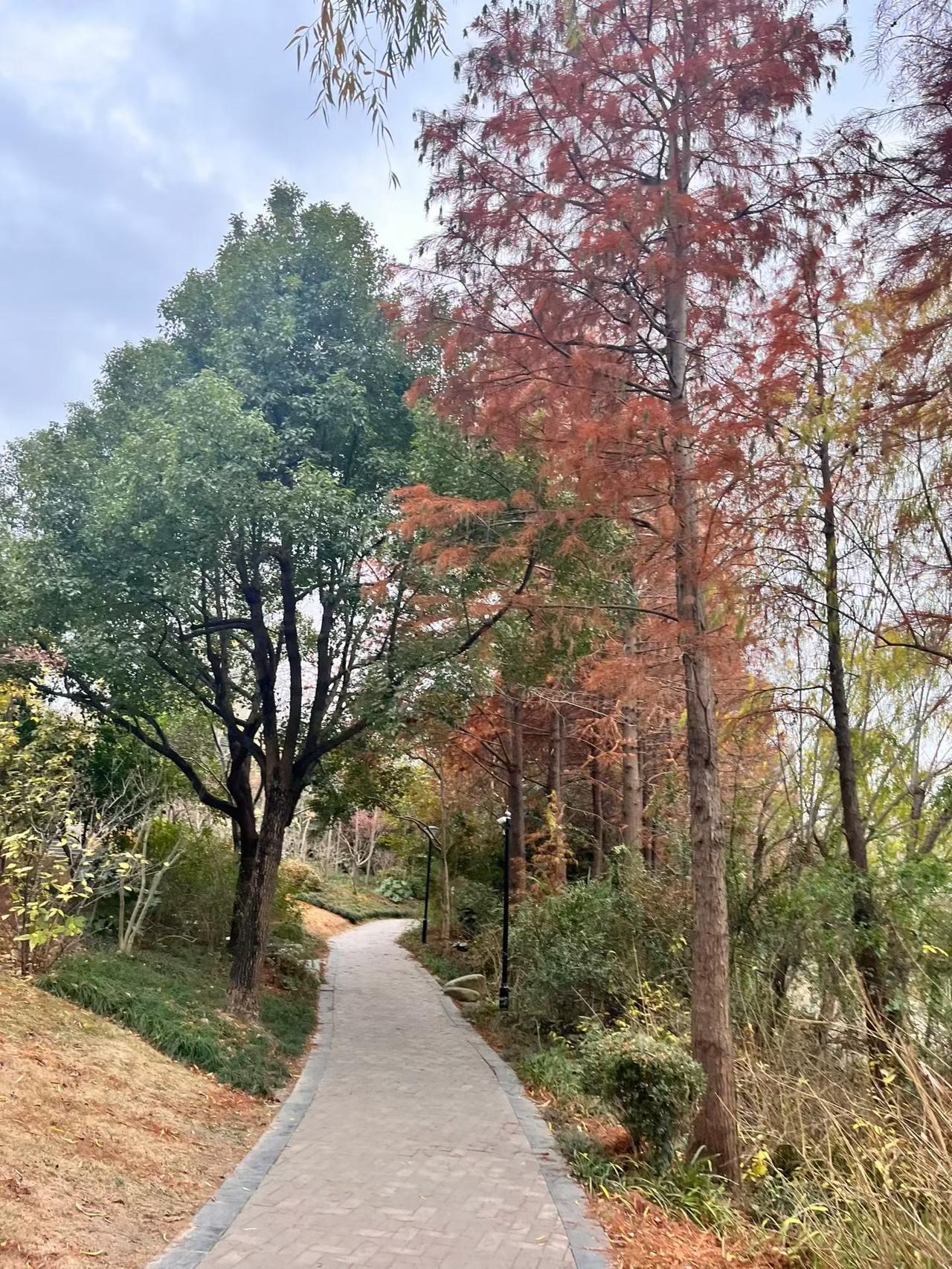 皖皖南皖南小山村