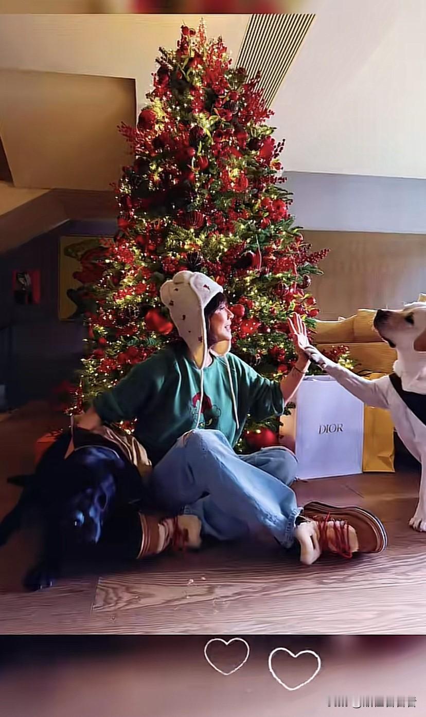刘嘉玲已经在为圣诞节布置自己的家了，单看家里的装修和风格就知道，嘉玲姐是个懂生活