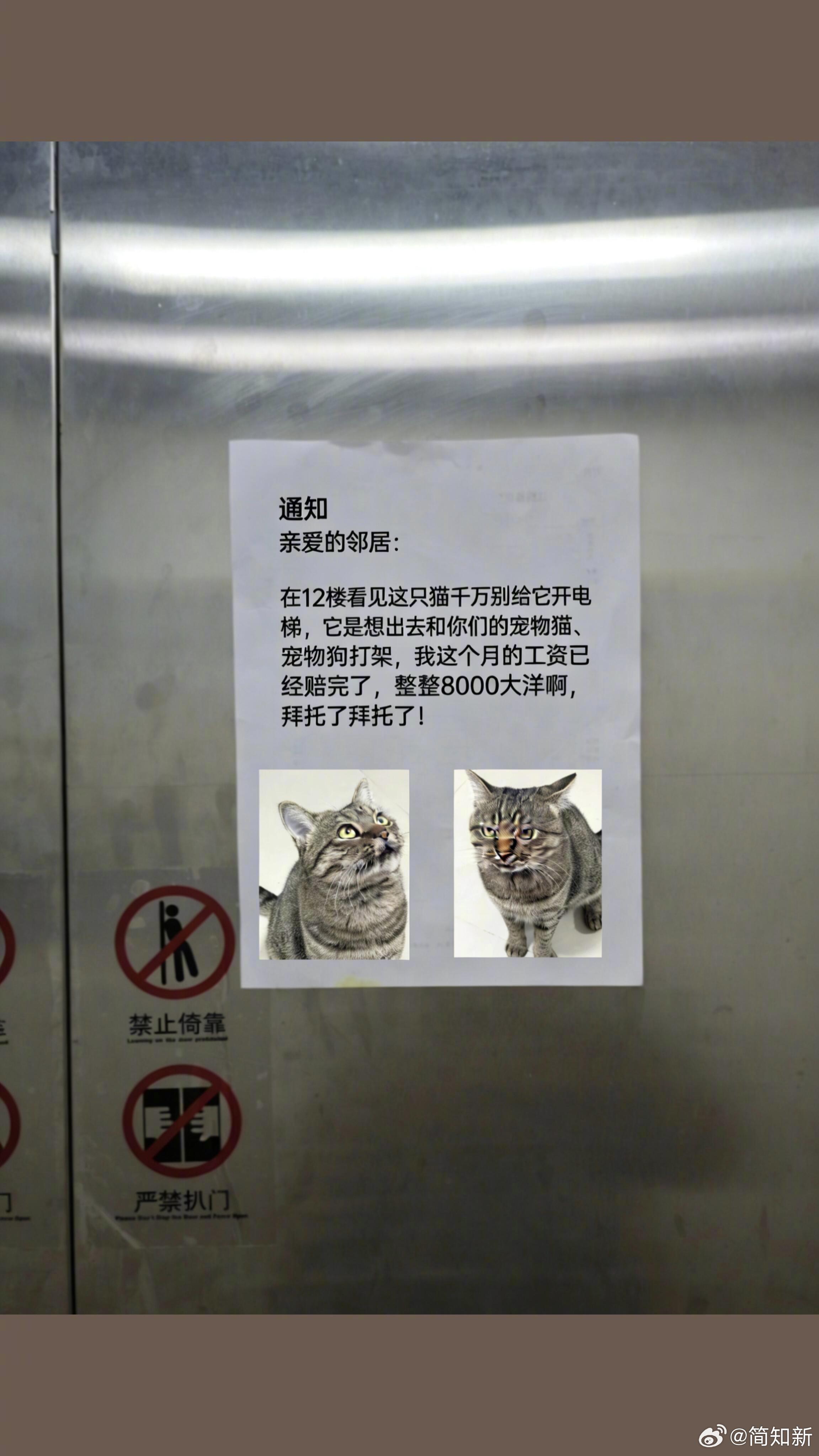 它主人是真没招了