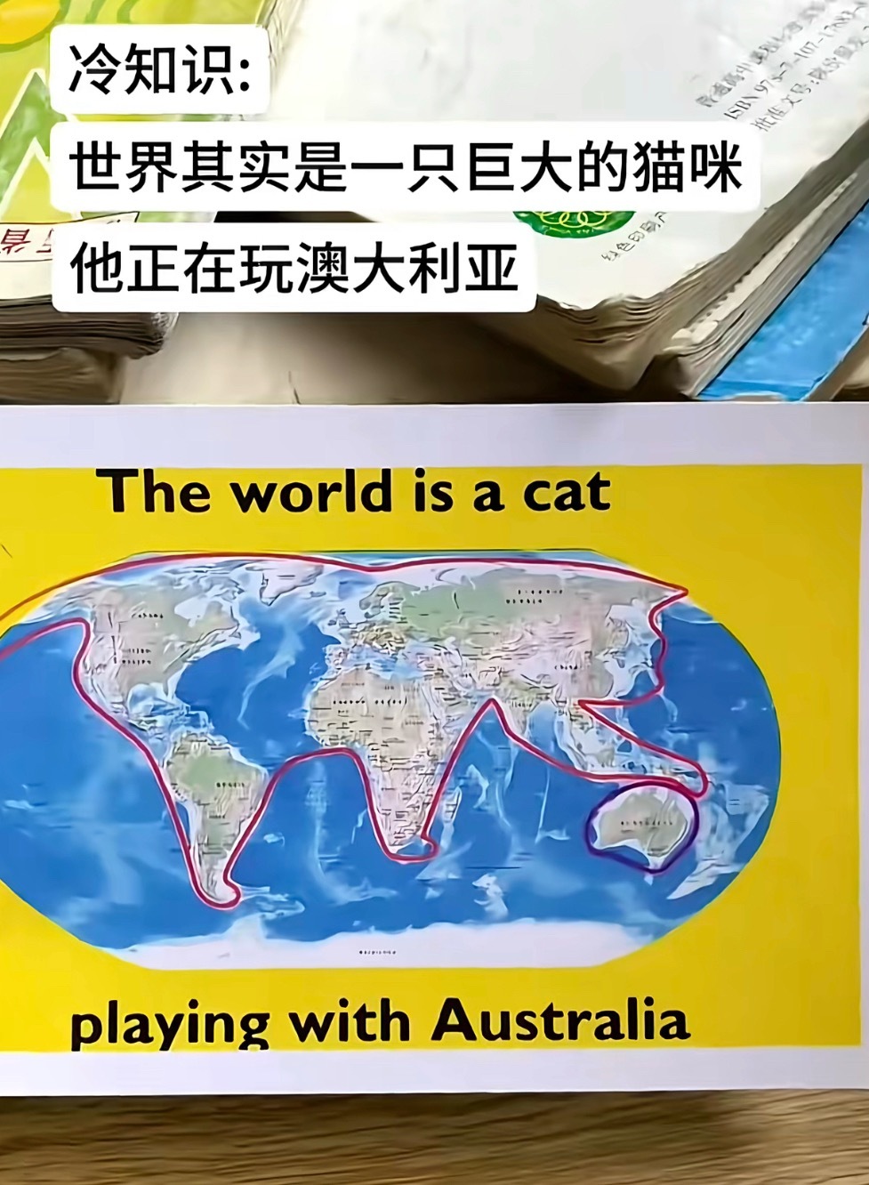 防止你不知道：世界就是一只猫🐈