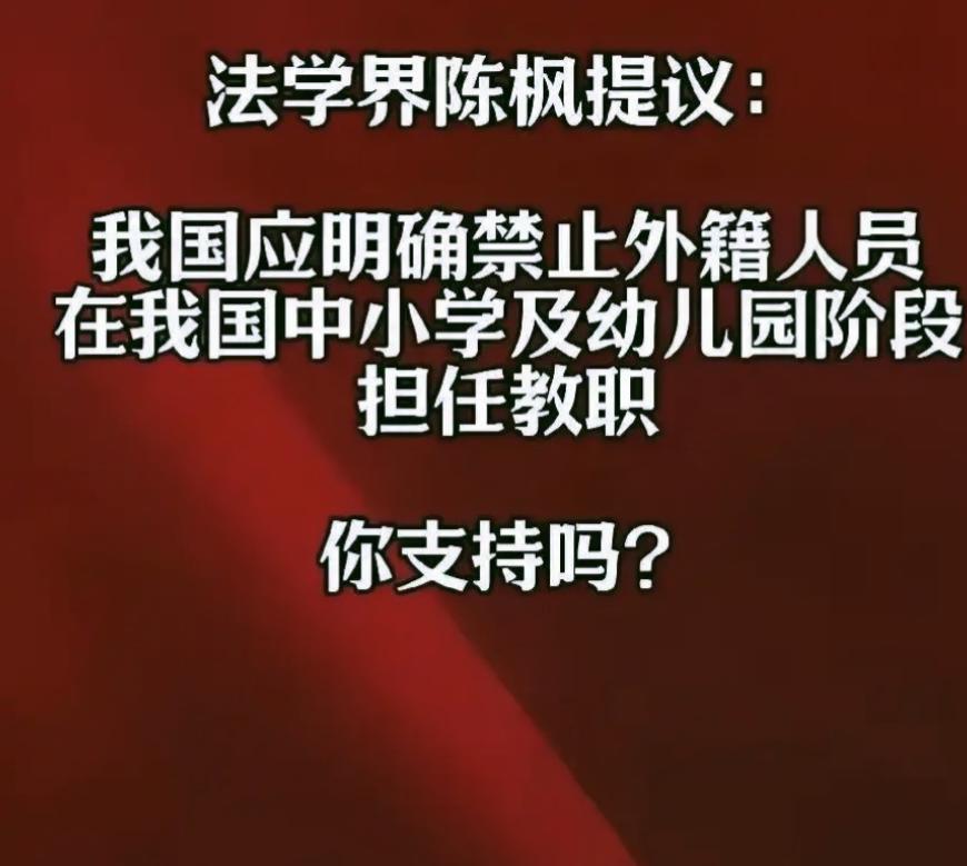 “法学专家”陈枫的一个提议，直接撕开了国际化教育的遮羞布！他主张通过立法，中