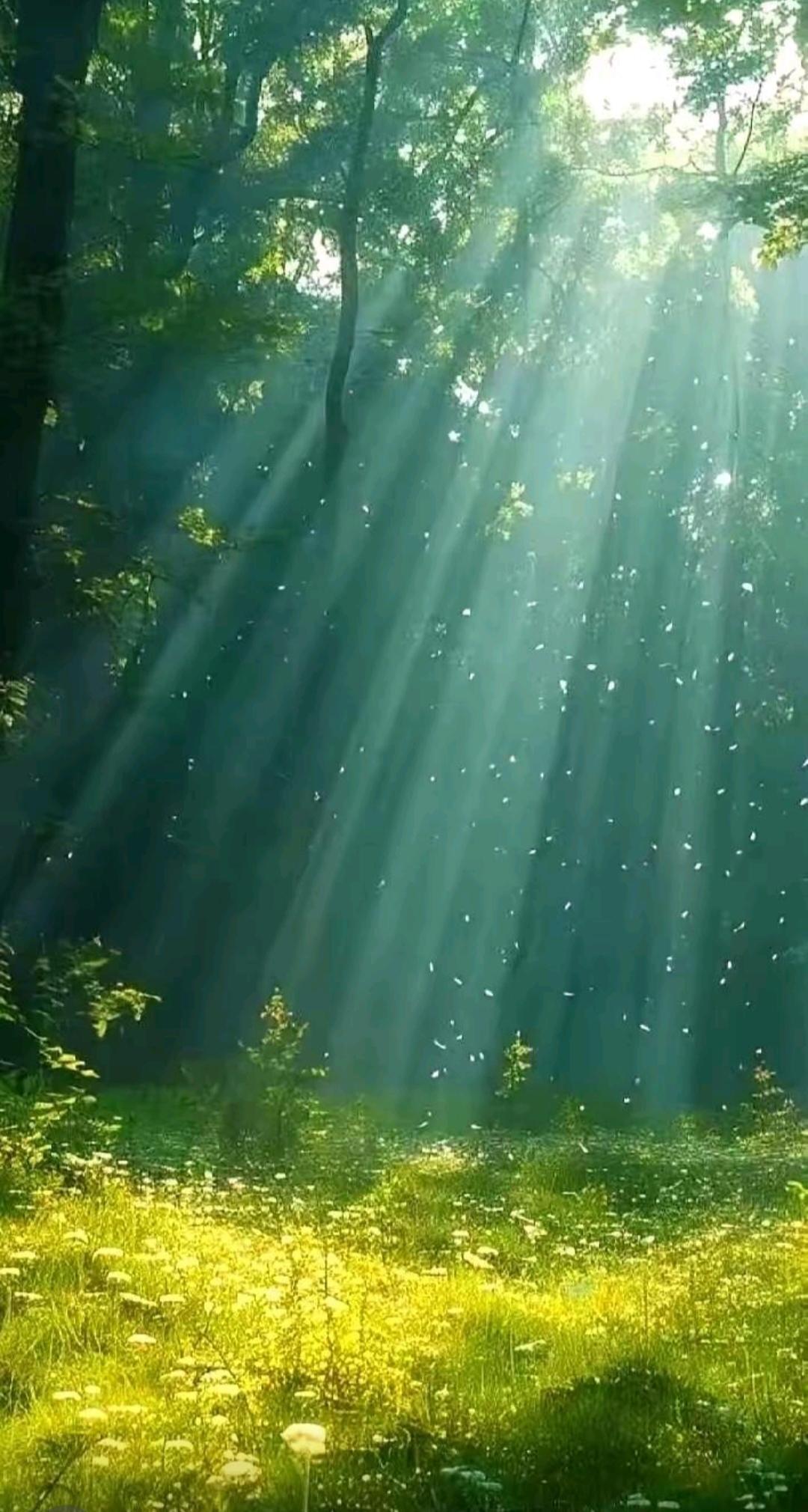 如果一个朋友，昨天人没了。最让人喘不过气的，是上个月。她老公突发心梗走了，这边老