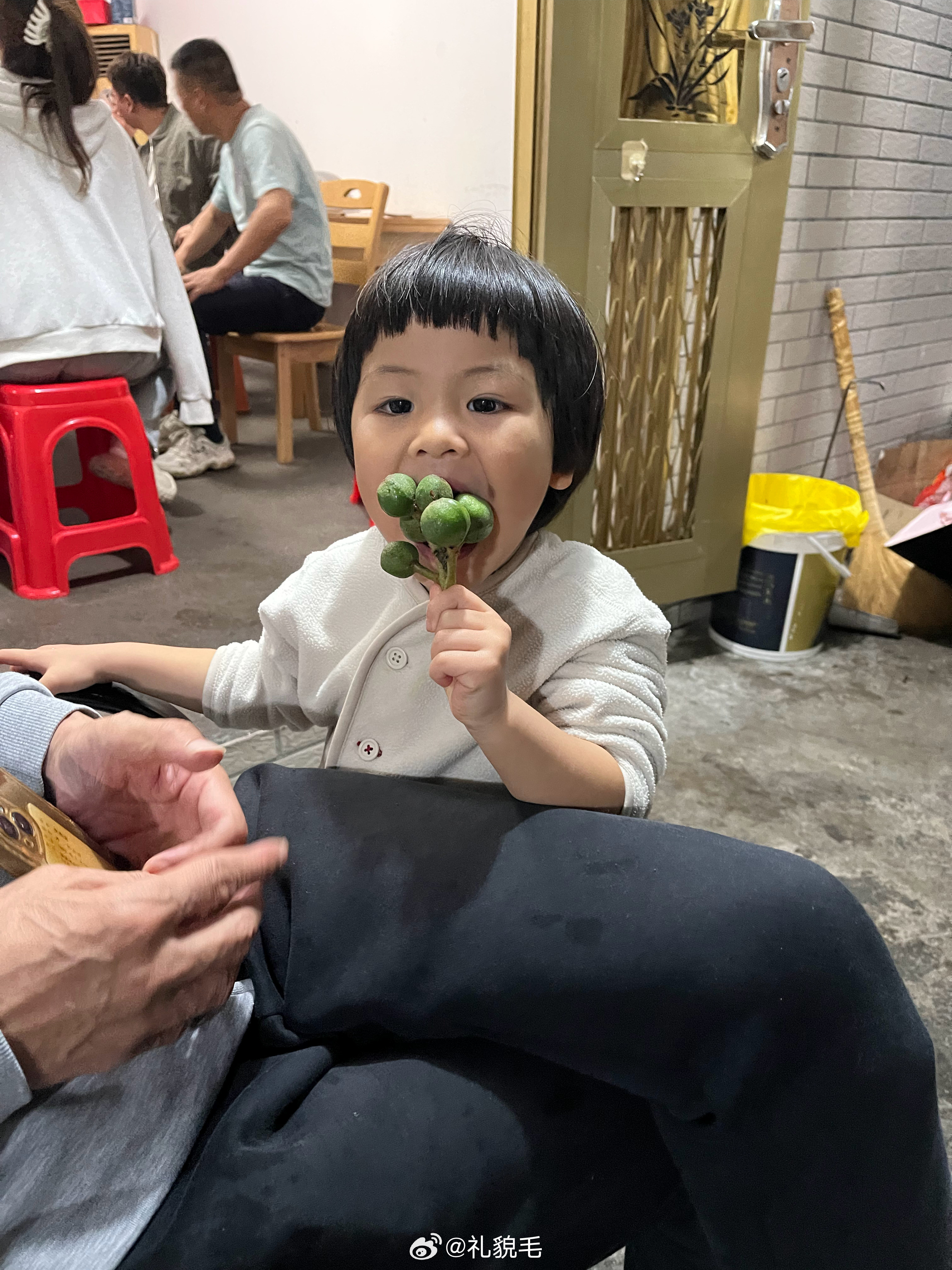 正在假吃太姥爷家枇杷树上的枇杷这棵树在我出生之前就种下了