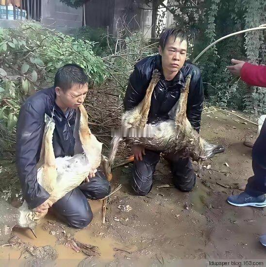 人生很短要为自己的梦想奋斗