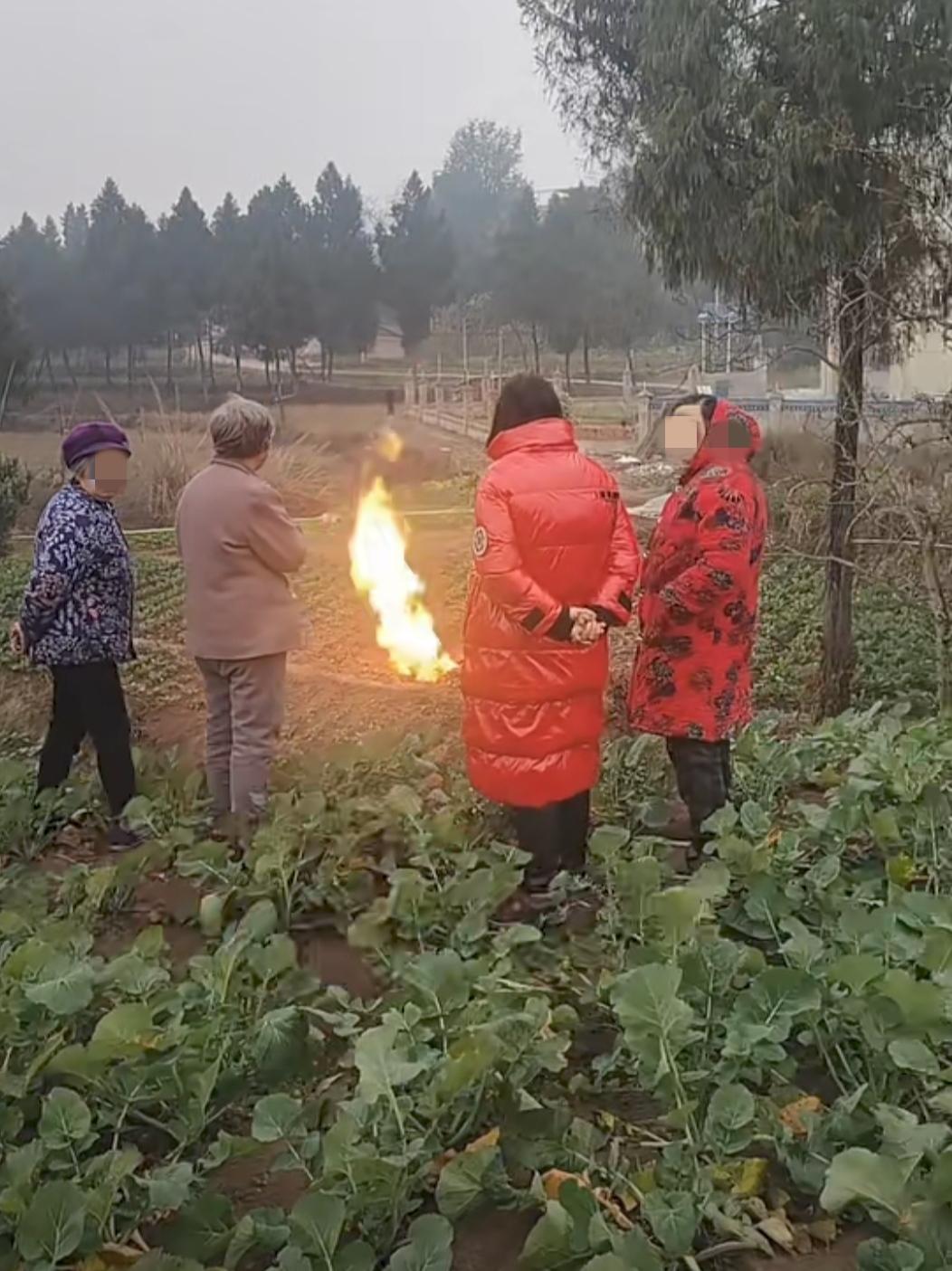 河南贾鲁河泉眼喷涌，四川也没闲着，南充蓬安县一处菜地“喷火了”！具体原因还在