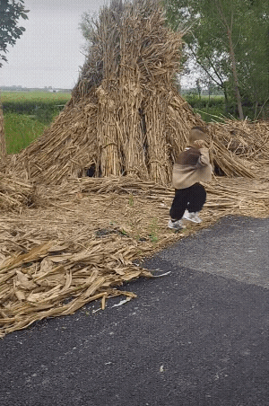姐姐这样教训就对了不能拿这么大的石头砸人![赞]
