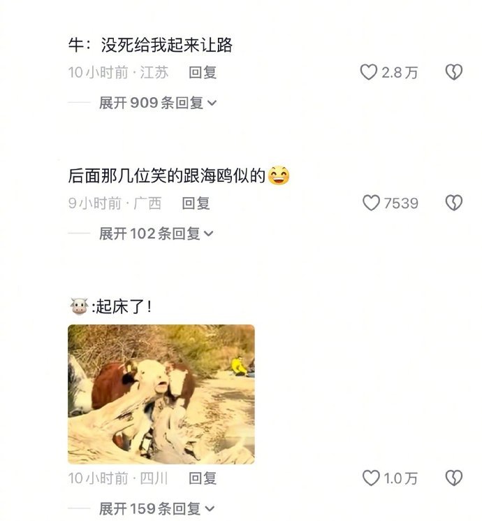 牛真的是最通人性的动物了🤣想过路半天了。结果一个人类在这里躺着，牛就过不去，最