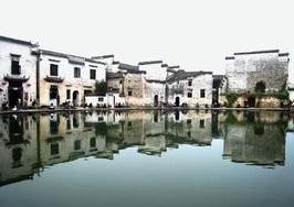 去了上海的九亭、泗泾这些地方，你只要稍微留意，就会发现一个特别有意思的社会现象。