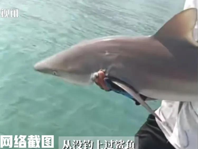 山东青岛有男子开船来胶州湾海钓。此刻男子本想着钓些海鲈鱼，没想到只当男子在自