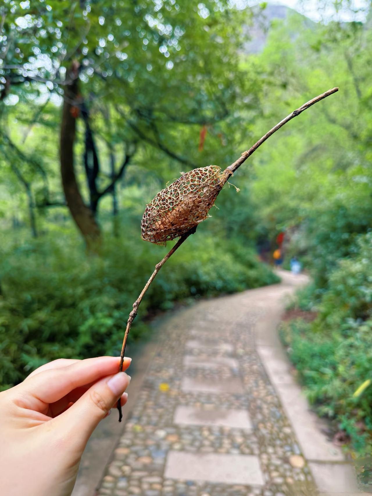 不懂就问，宝子们谁能告诉我这个是什么东西有认识的吗？