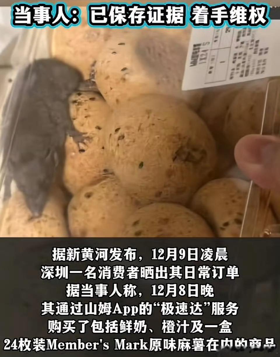 山姆山姆这波操作有点迷，这只老鼠怎么进去的呢？思考一下，应该是包装时放进去的吧？