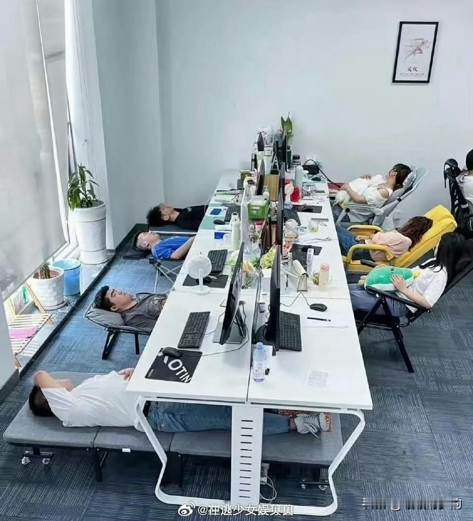 这个公司整洁有序就连午休都整齐划一估计他们的规章制度严格重要的是福利也不