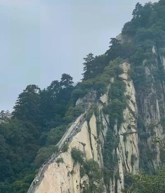 华山这张40块钱的车票，撕开了国内景区一个公开的秘密：拆分运营，层层设卡。一座山